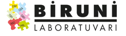 Biruni Laboratuvarı referans logosu